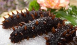 海参哥最新爆料图片大全,图片大全揭秘幕后真相