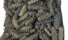 海参哥最新爆料图片大全,图片大全揭秘幕后真相