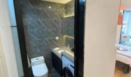 青桔地铁口最新爆料,揭秘周边发展新趋势